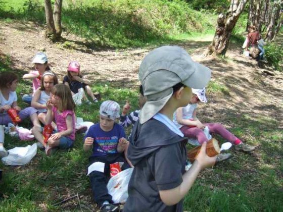 barre de douche extensible