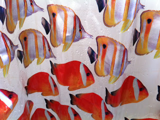 nettoyer rideau douche