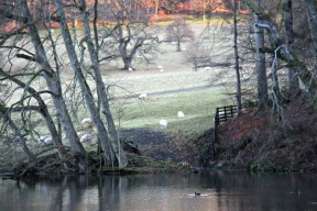pare baignoire avec retour