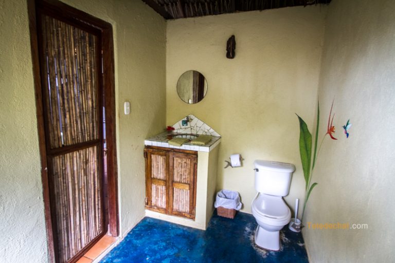 porte bain douche en verre