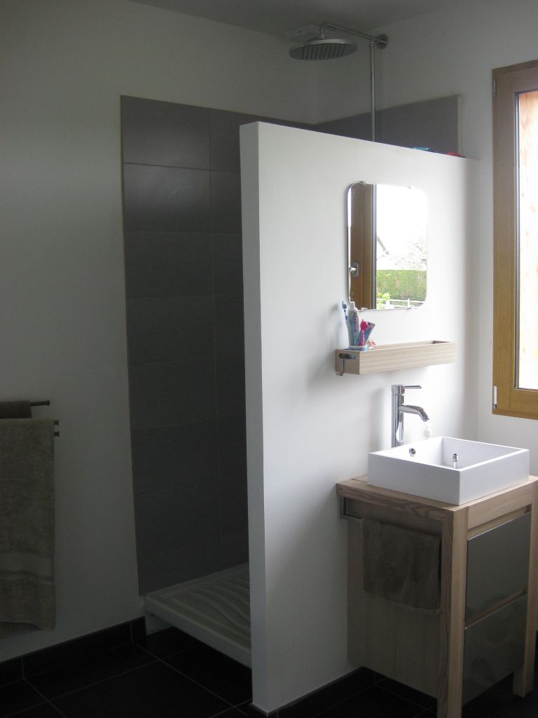 porte et paroi de douche 80x80